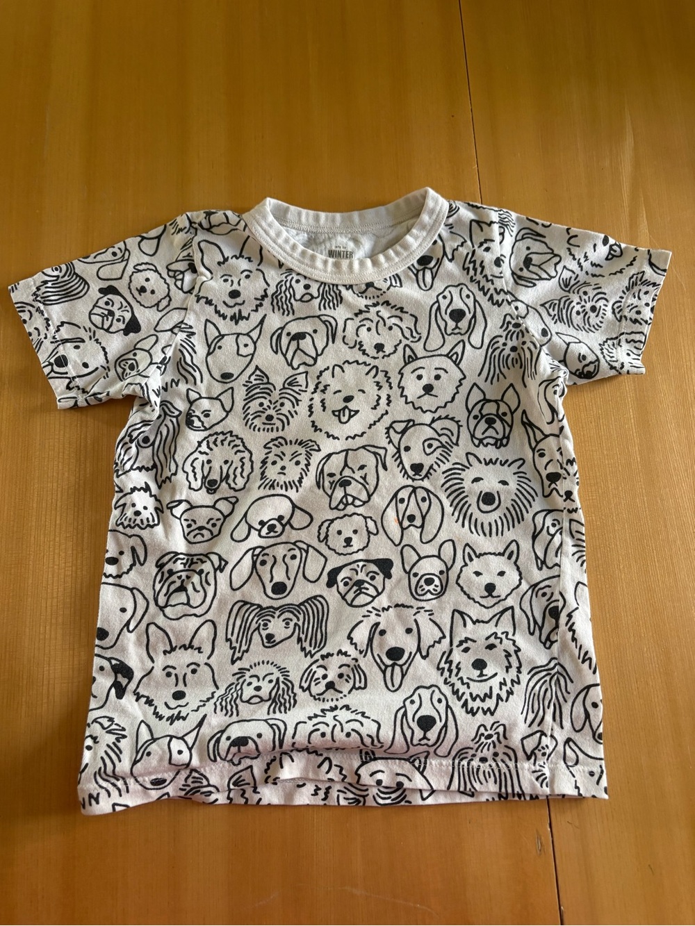 Winter Water Factory kids dog Tshirt size 6